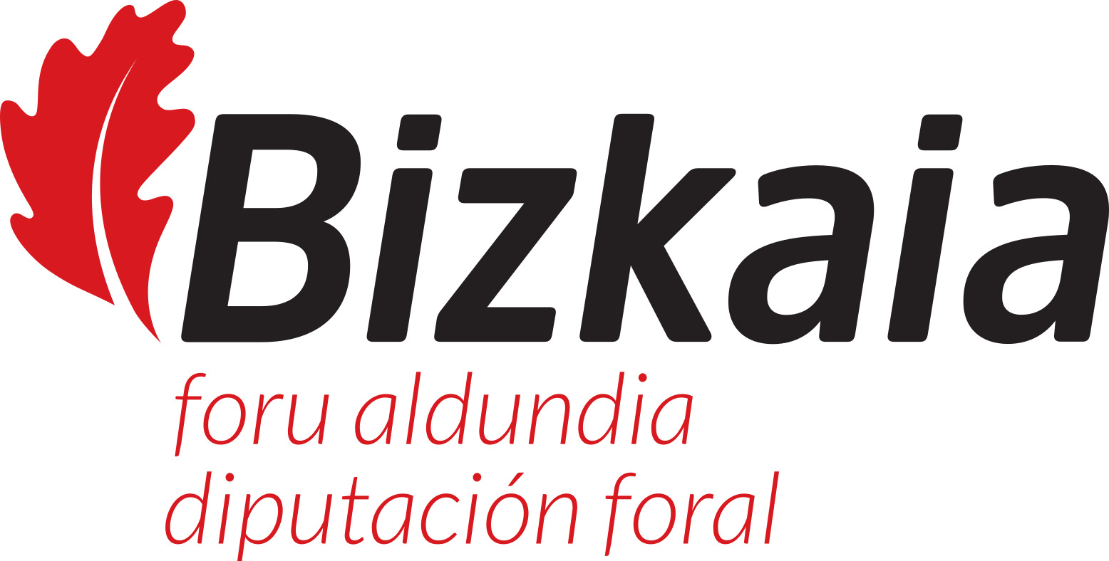 Bizkaia Foru Aldundia